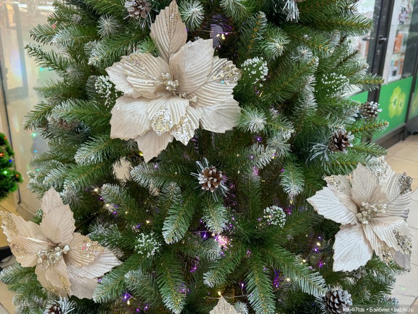 Ноябрьская Тверь, прогулка по Трёхсвятской улице