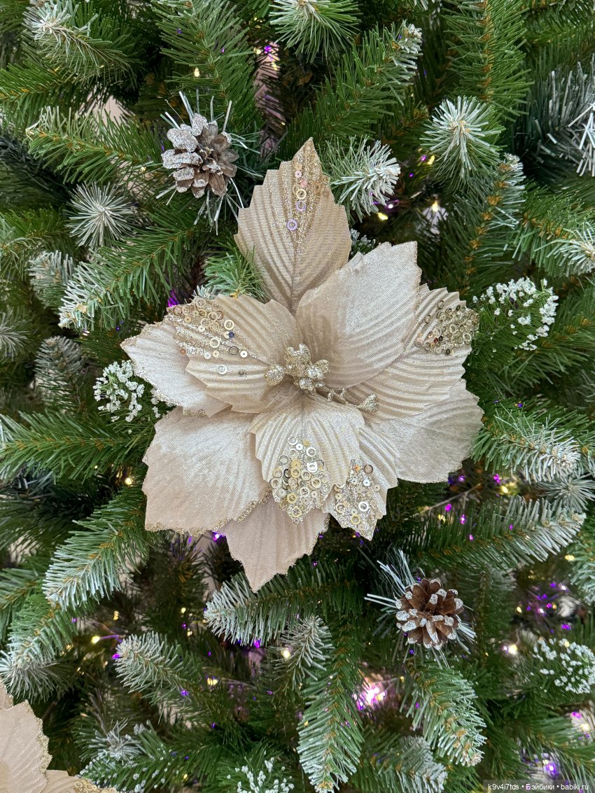 Ноябрьская Тверь, прогулка по Трёхсвятской улице