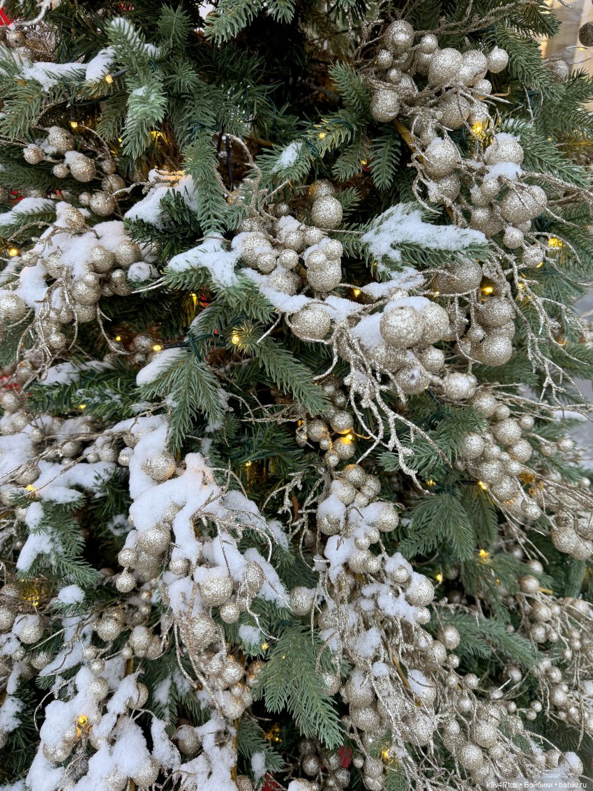 Ноябрьская Тверь, прогулка по Трёхсвятской улице