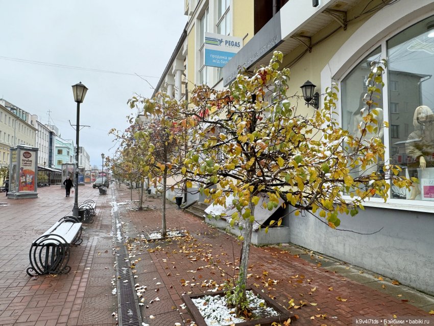 Ноябрьская Тверь, прогулка по Трёхсвятской улице