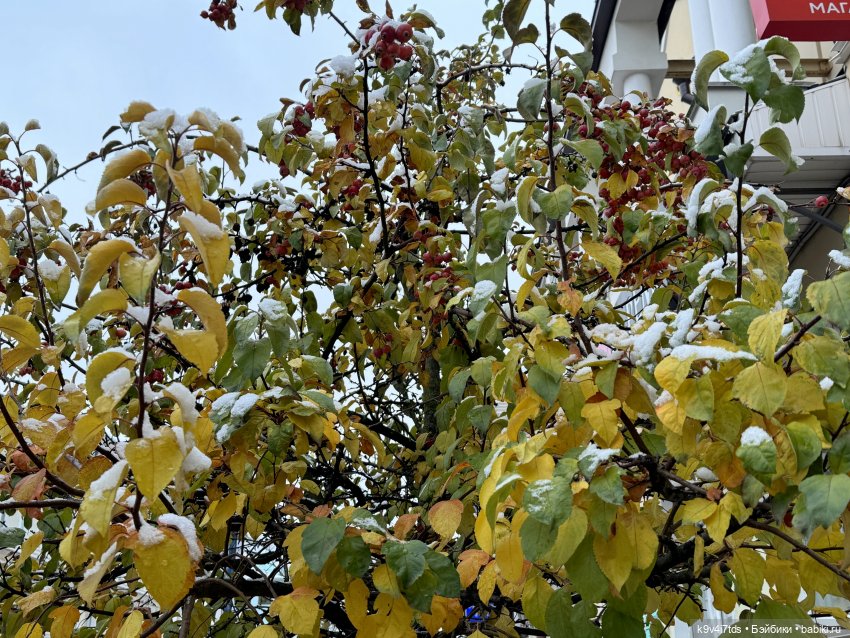 Ноябрьская Тверь, прогулка по Трёхсвятской улице