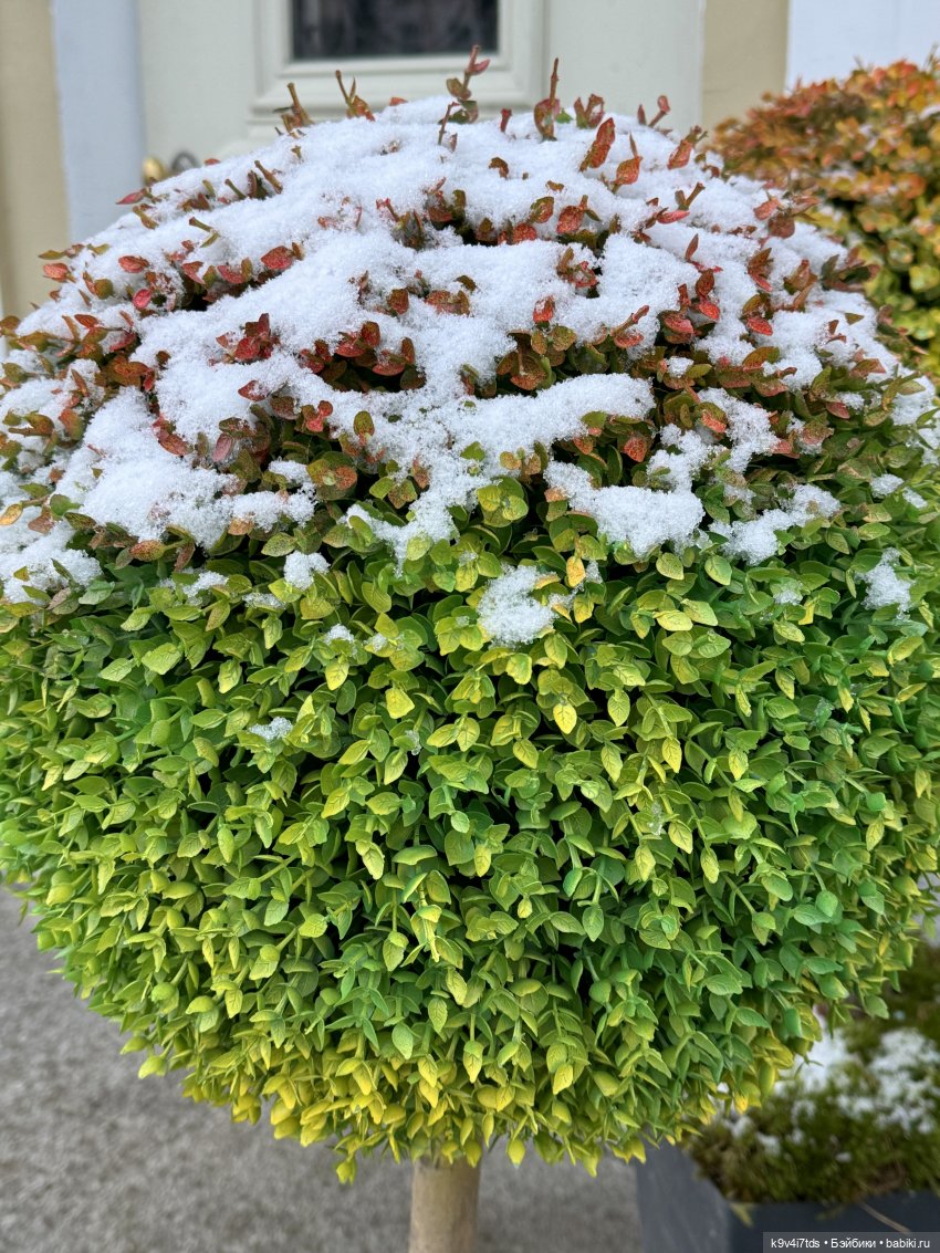 Ноябрьская Тверь, прогулка по Трёхсвятской улице