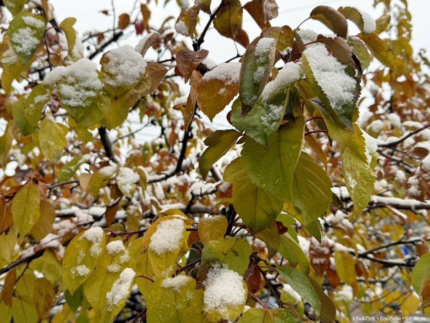 Ноябрьская Тверь, прогулка по Трёхсвятской улице