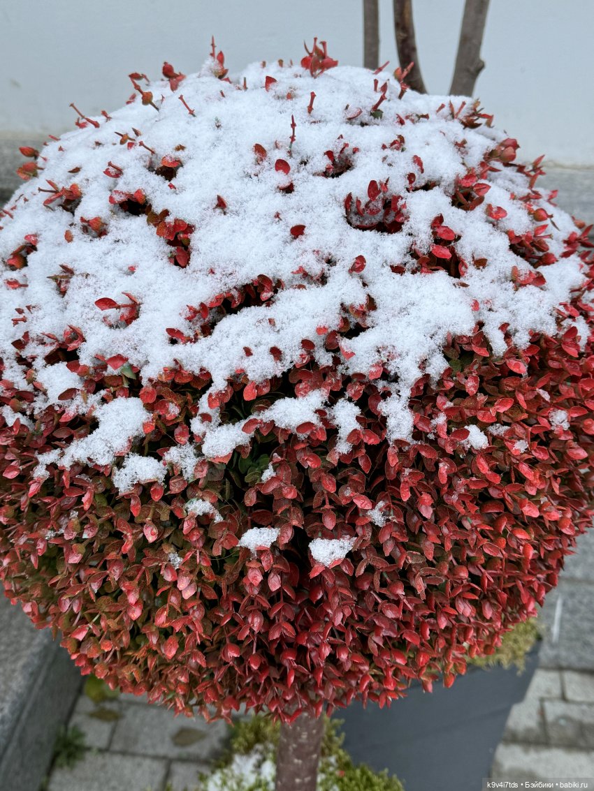 Ноябрьская Тверь, прогулка по Трёхсвятской улице