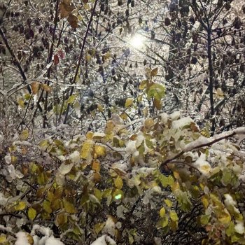 Снежная Тверь