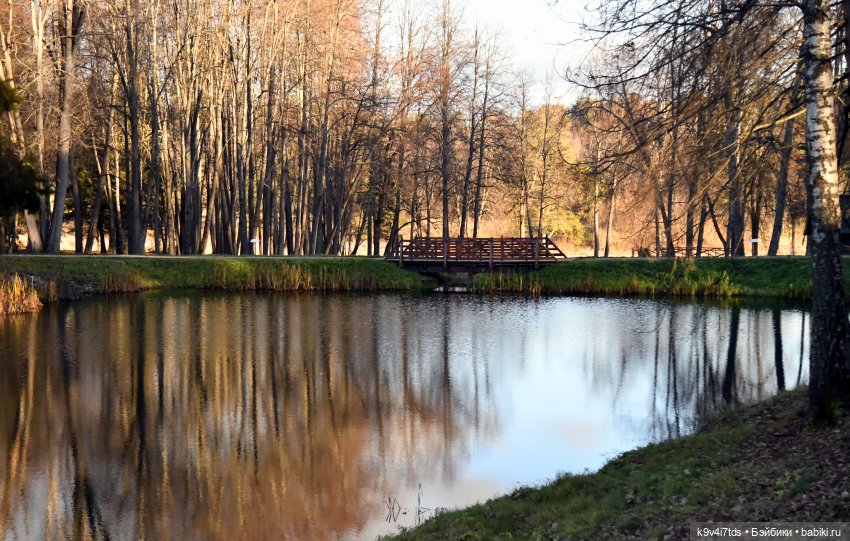 Путешествие Алеси в "Василёво"