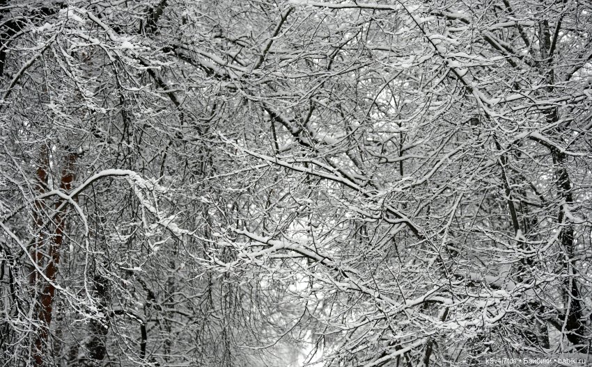 Ноябрьская Снежная Сказка (фото 5)