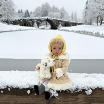 Ноябрьская Снежная Сказка