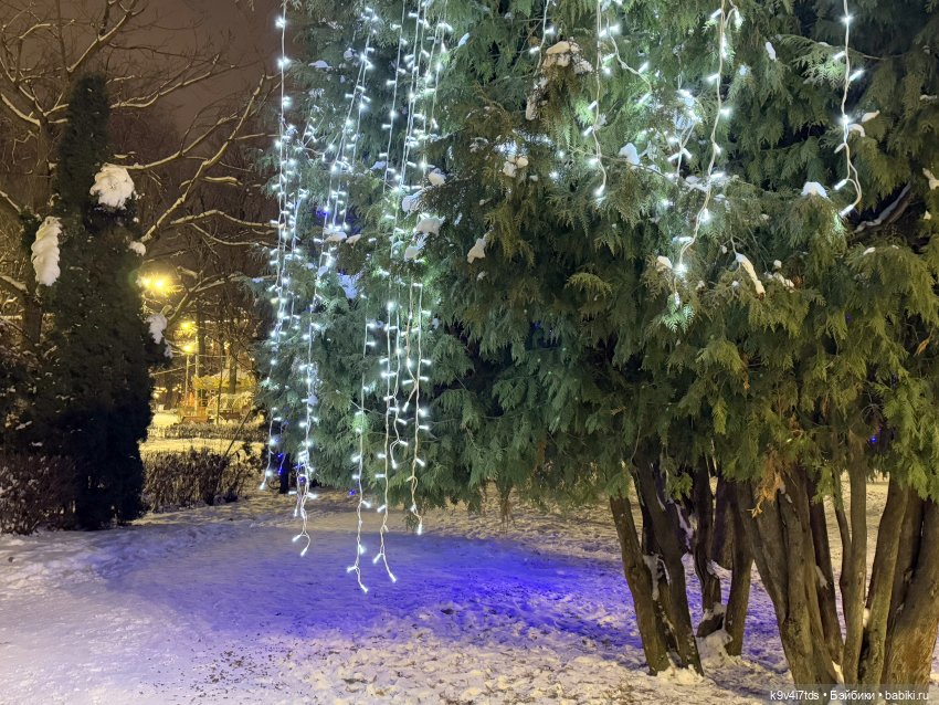 Молли и вечерняя Тверь, продолжение