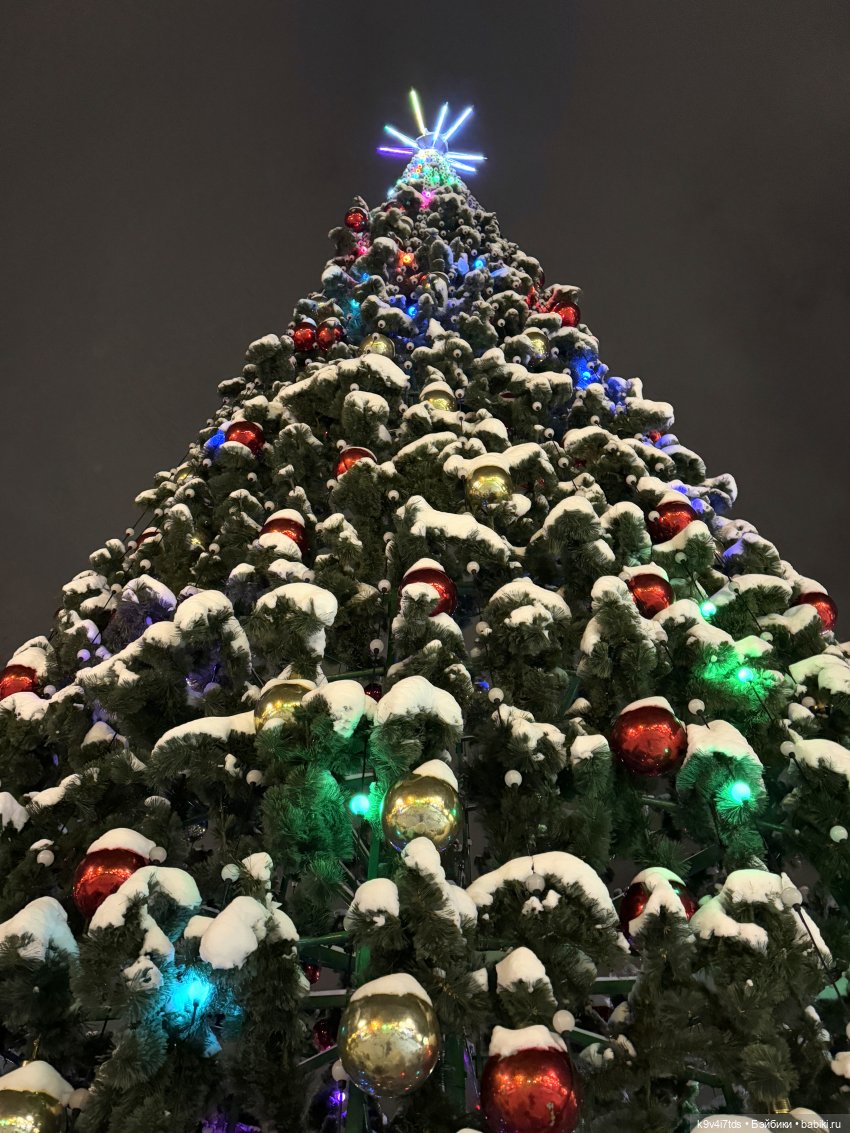 Молли и вечерняя Тверь, продолжение