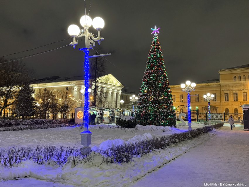 Молли и вечерняя Тверь, продолжение