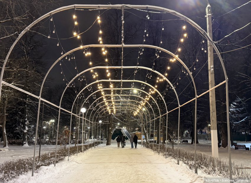 Молли и вечерняя Тверь, продолжение (фото 9)