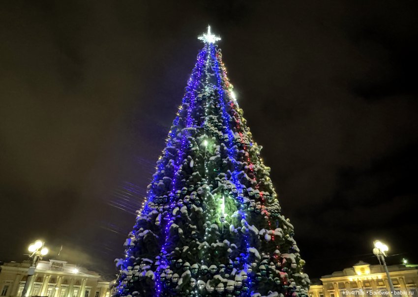 Молли и вечерняя Тверь, продолжение (фото 2)