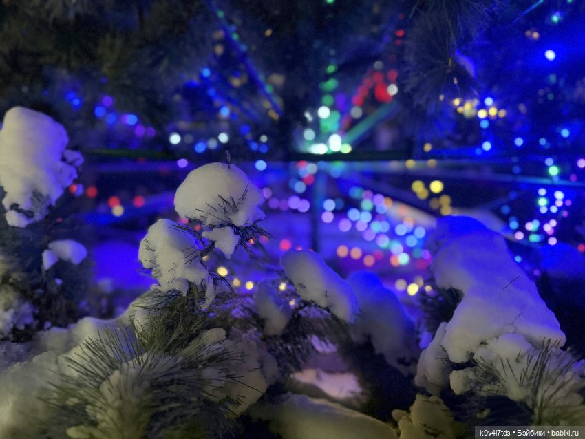 Молли и вечерняя Тверь, продолжение (фото 3)