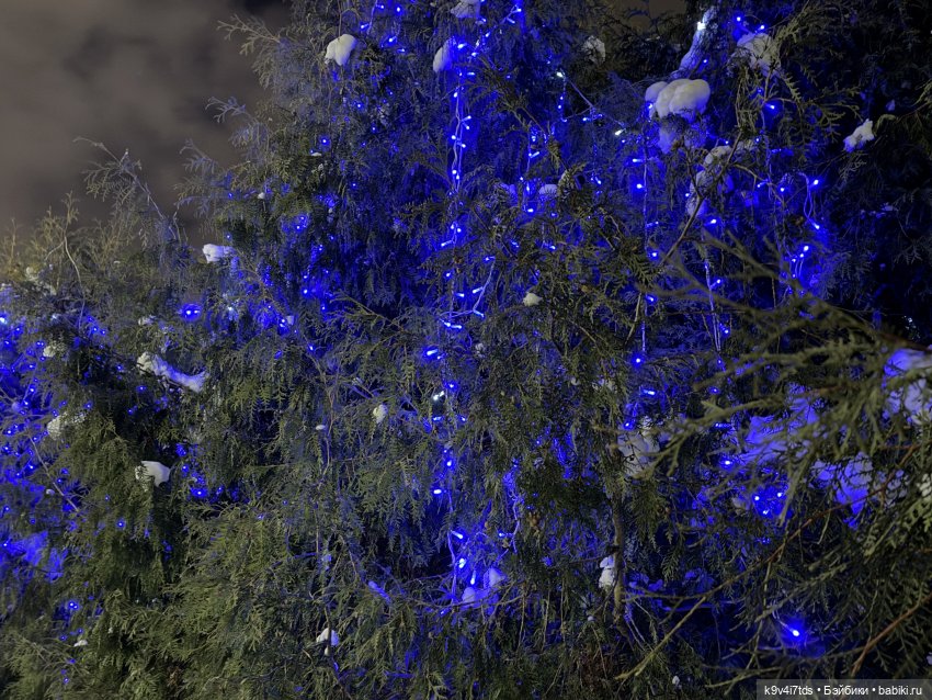 Молли и вечерняя Тверь, продолжение