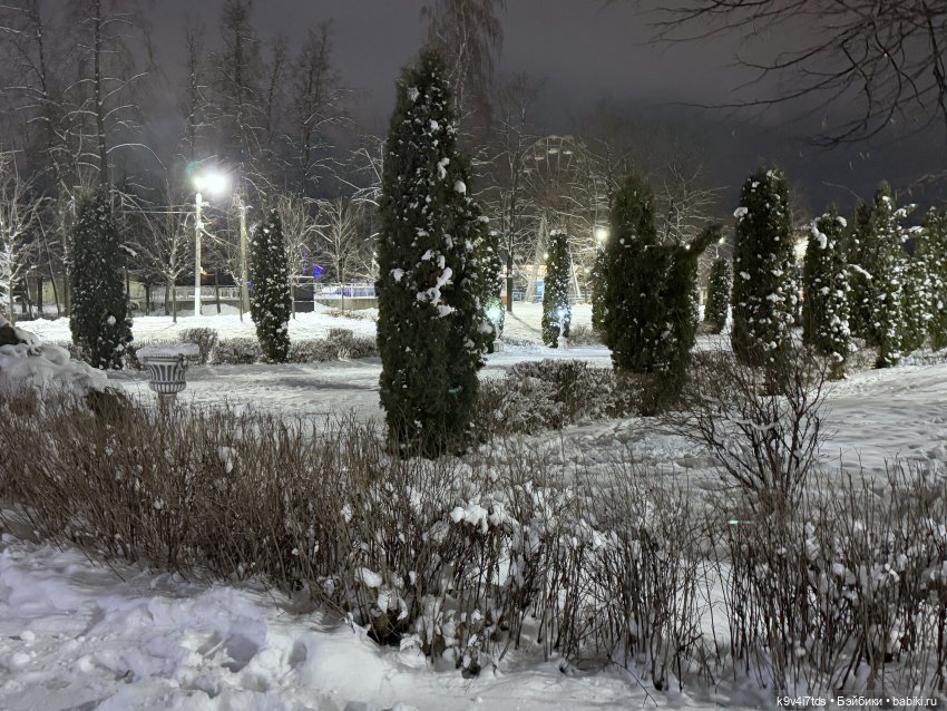 Молли и вечерняя Тверь, продолжение
