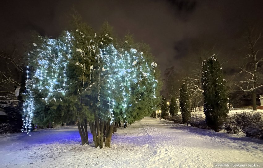 Молли и вечерняя Тверь, продолжение
