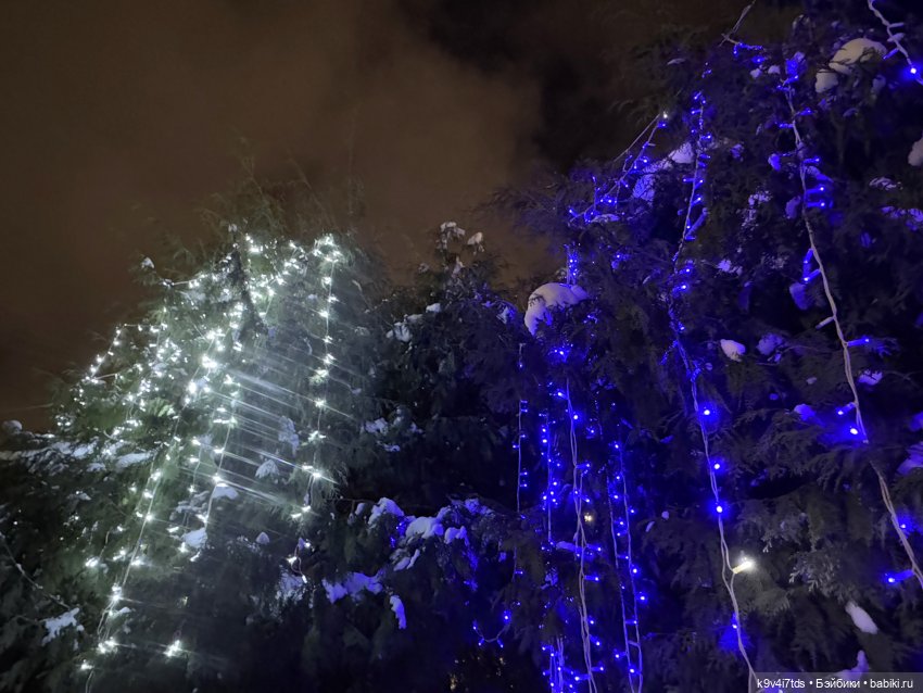 Молли и вечерняя Тверь, продолжение