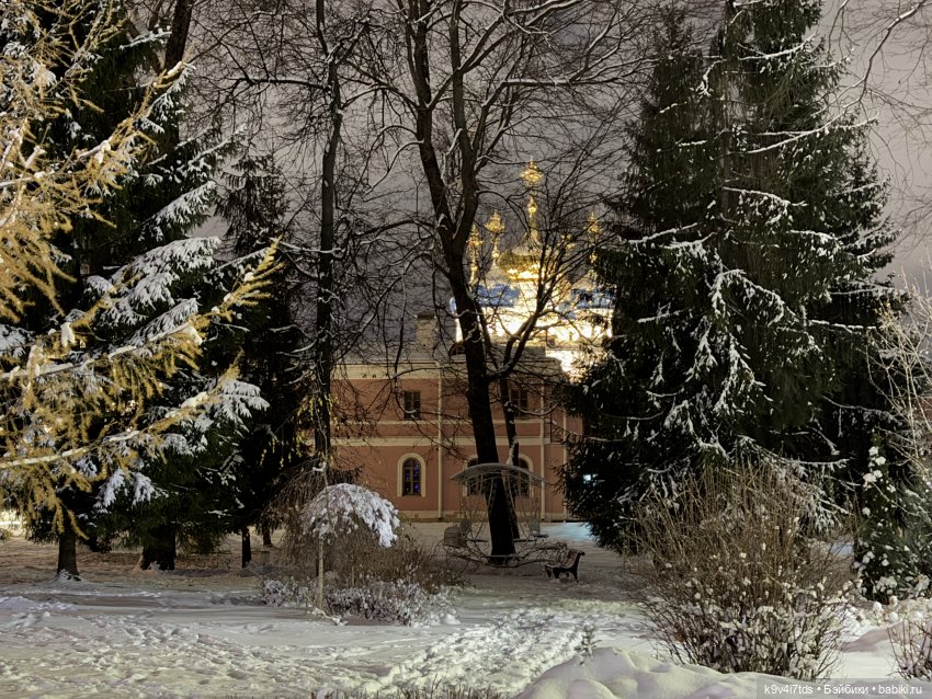Молли и вечерняя Тверь, продолжение