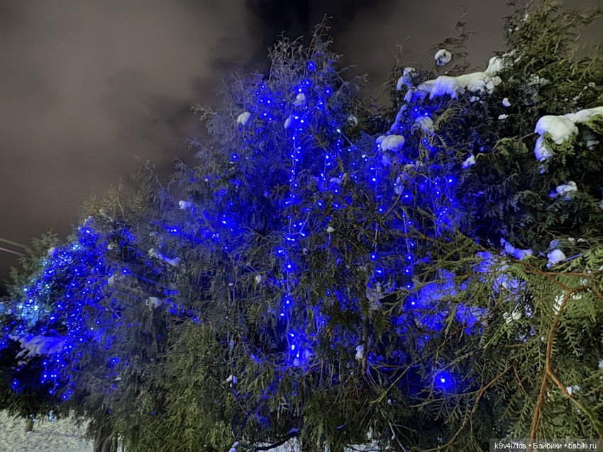 Молли и вечерняя Тверь, продолжение