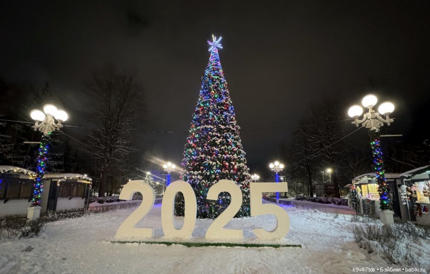 Молли и вечерняя Тверь, продолжение