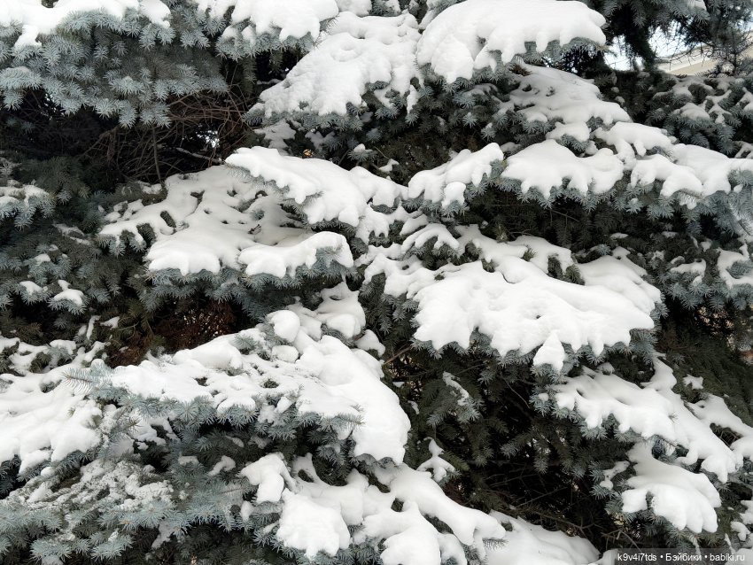 Зимняя прогулка Эллы — Куклы Meadow dolls (Медовушки): BJD (БЖД) (фото 6)