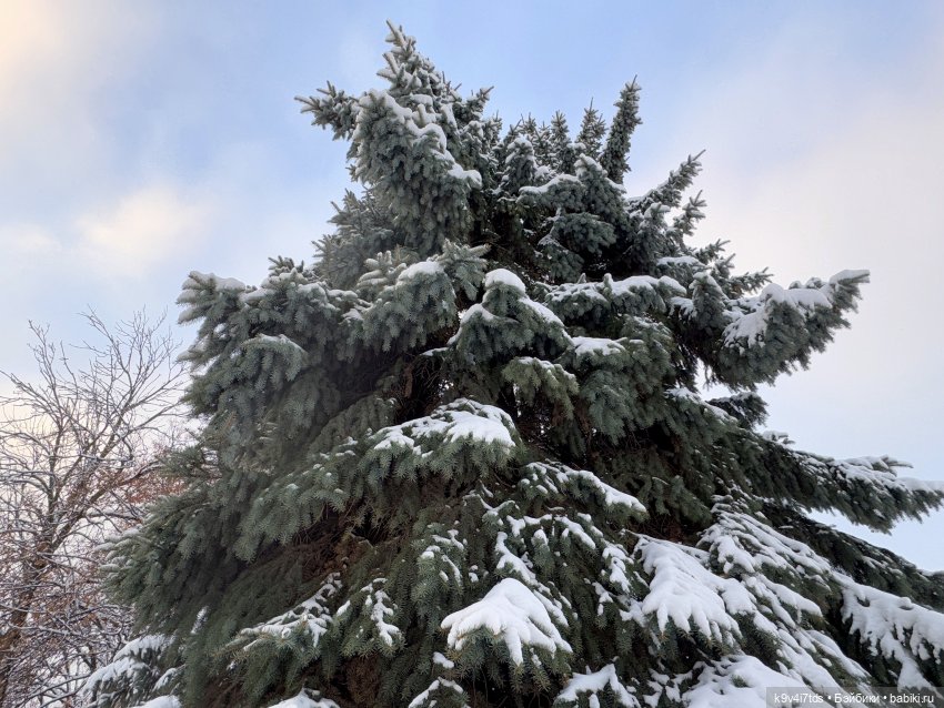 Зимняя прогулка Эллы — Куклы Meadow dolls (Медовушки): BJD (БЖД) (фото 5)