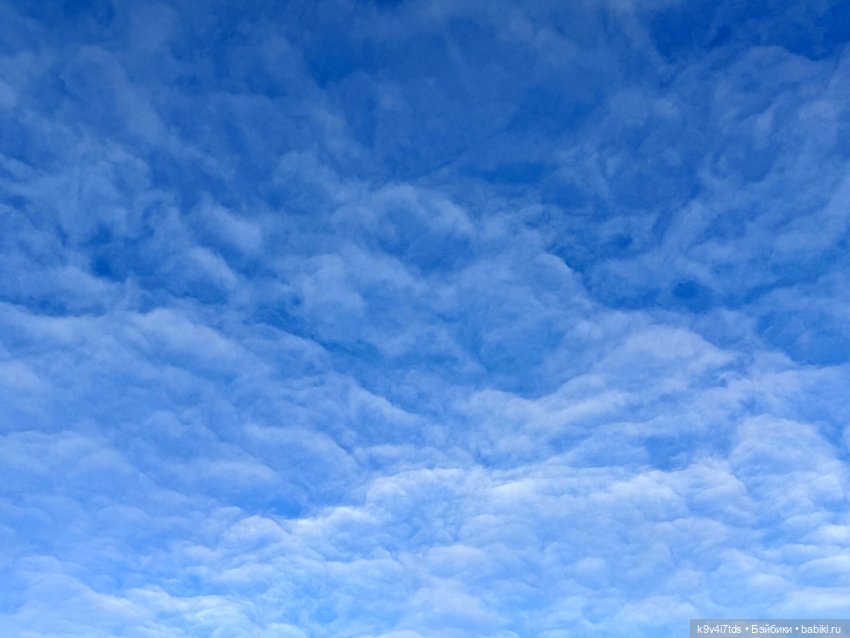 Зимняя прогулка Эллы — Куклы Meadow dolls (Медовушки): BJD (БЖД)