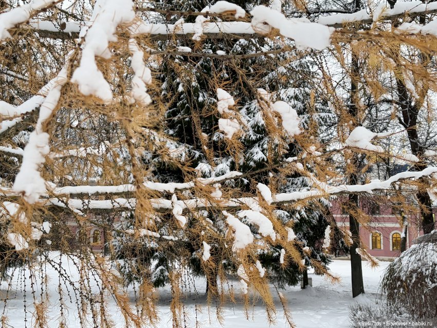 Зимняя прогулка Эллы — Куклы Meadow dolls (Медовушки): BJD (БЖД)