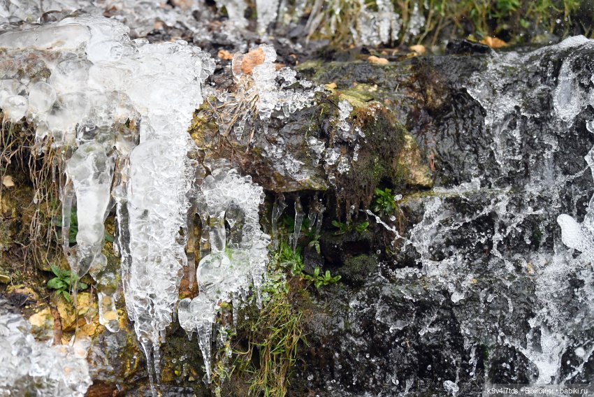 Путешествие к Тверскому водопаду (фото 5)