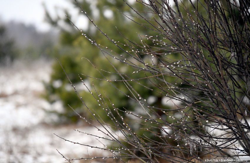 Путешествие к Тверскому водопаду
