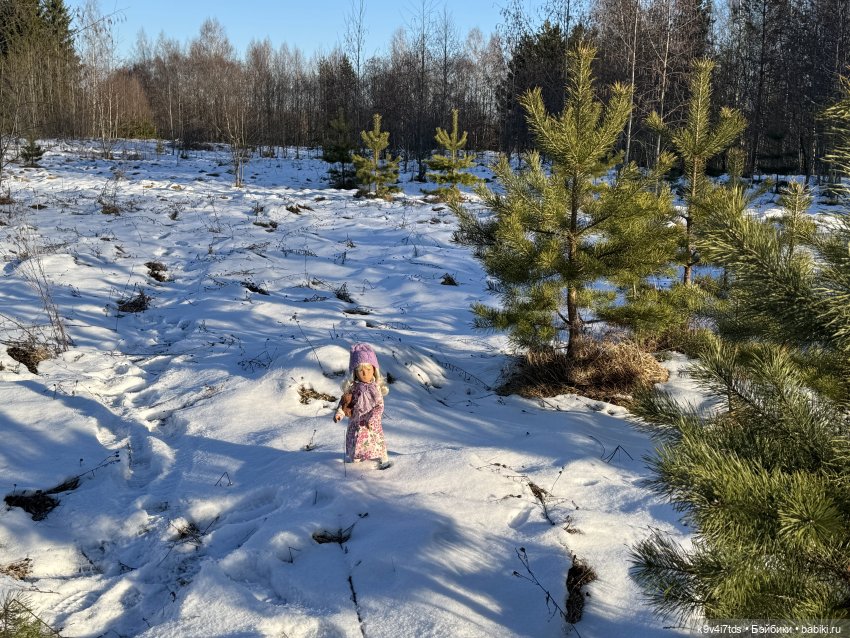 Путешествие Саши к водопаду