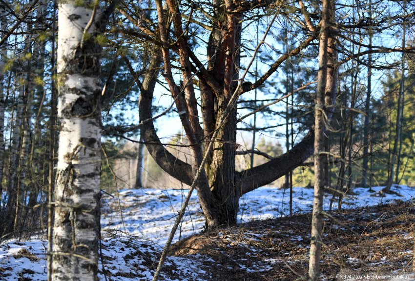 Путешествие Саши к водопаду