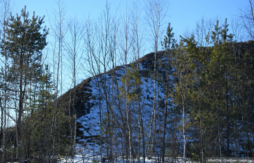 Путешествие Саши к водопаду (фото 8)