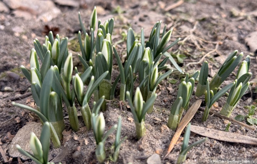 Масленица в "Василёво" 2025 год