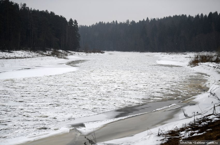 Масленица в "Василёво" 2025 год