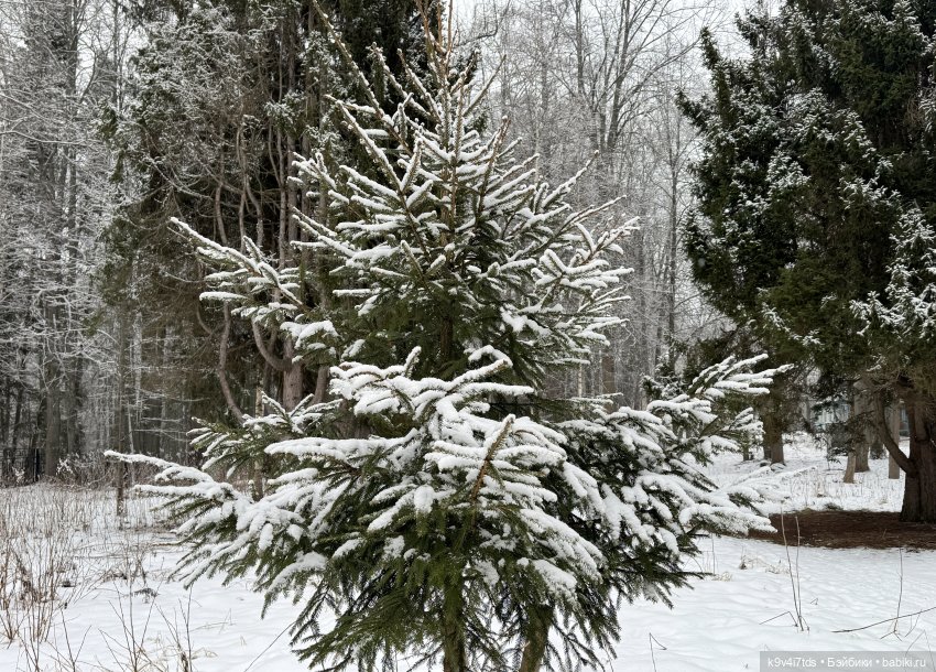 Прогулка Аксиньи в Усадьбе "Митино" (Тверская область) | Бэйбики Прогулка Аксиньи в Усадьбе "Митино" (Тверская область) (фото 2)