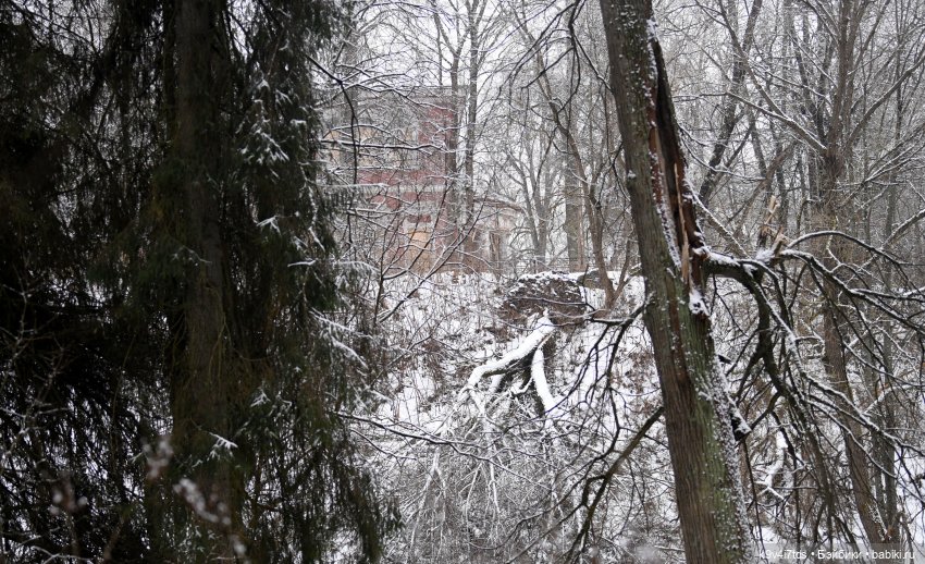 Прогулка Аксиньи в Усадьбе "Митино" (Тверская область) | Бэйбики Прогулка Аксиньи в Усадьбе "Митино" (Тверская область)