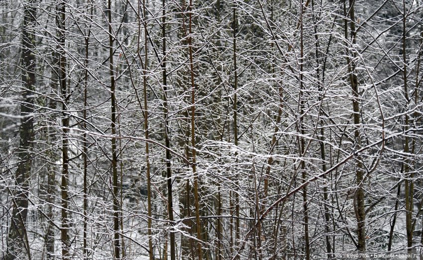 Прогулка Аксиньи в Усадьбе "Митино" (Тверская область) | Бэйбики Прогулка Аксиньи в Усадьбе "Митино" (Тверская область) (фото 10)