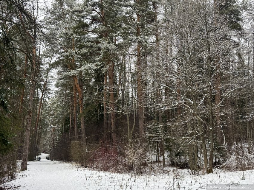 Прогулка Аксиньи в Усадьбе "Митино" (Тверская область) | Бэйбики Прогулка Аксиньи в Усадьбе "Митино" (Тверская область)