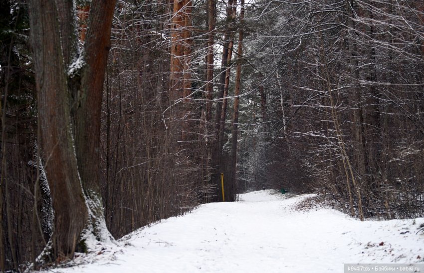 Прогулка Аксиньи в Усадьбе "Митино" (Тверская область) | Бэйбики Прогулка Аксиньи в Усадьбе "Митино" (Тверская область)