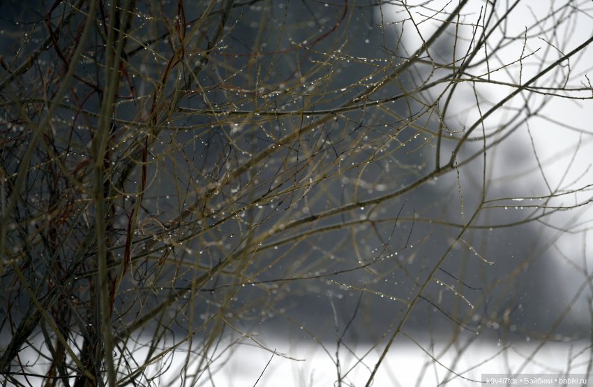 Прогулка Аксиньи в Усадьбе "Митино" (Тверская область) | Бэйбики Прогулка Аксиньи в Усадьбе "Митино" (Тверская область)