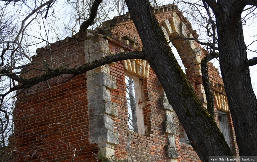 Нийя встречает весну в кругу друзей
