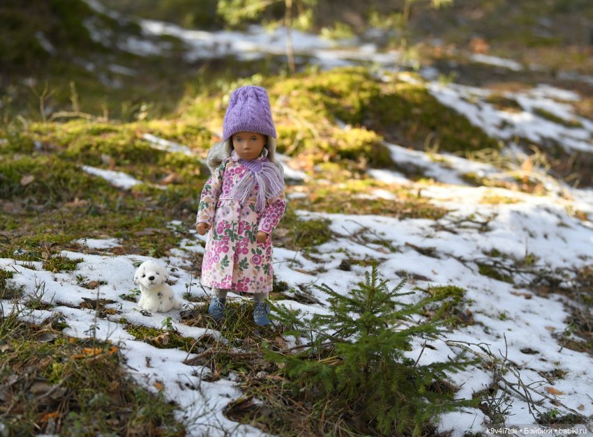 Прогулка Саши в сосновом бору (фото 4)