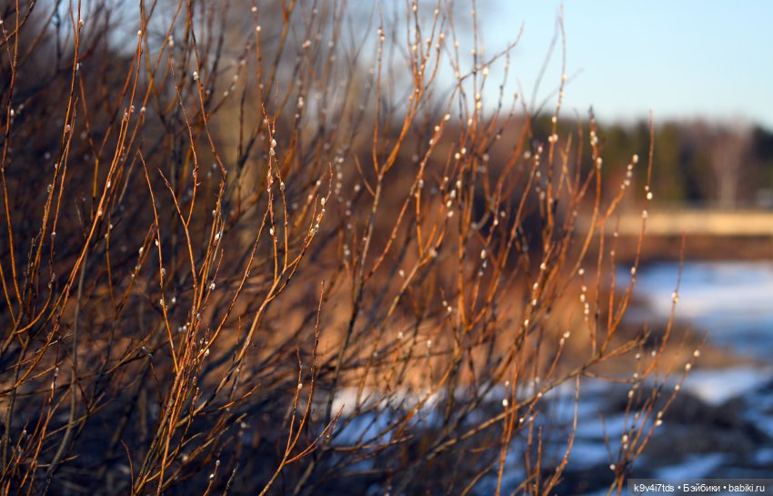 Аквамариновый Февраль — Домашние коллекции кукол: фото собраний