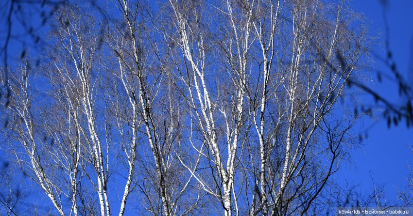 Первое путешествие Агуши | Бэйбики Первое путешествие Агуши — Куклы Latidoll (Лати): BJD (БЖД) (фото 10)