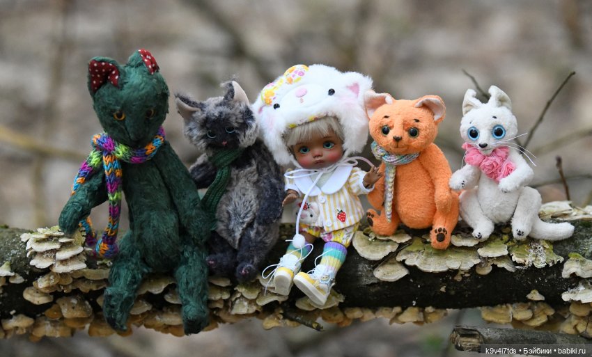 Первое путешествие Агуши | Бэйбики Первое путешествие Агуши — Куклы Latidoll (Лати): BJD (БЖД)