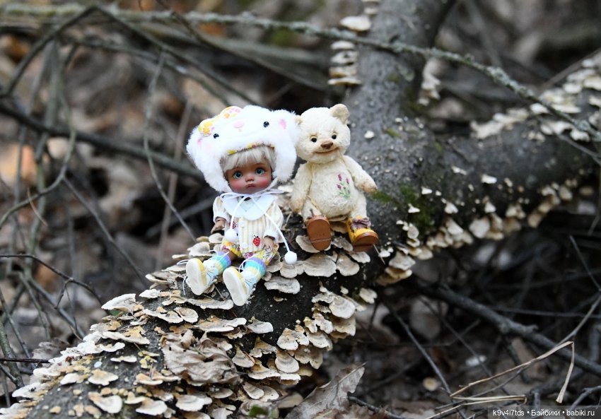 Первое путешествие Агуши | Бэйбики Первое путешествие Агуши — Куклы Latidoll (Лати): BJD (БЖД)