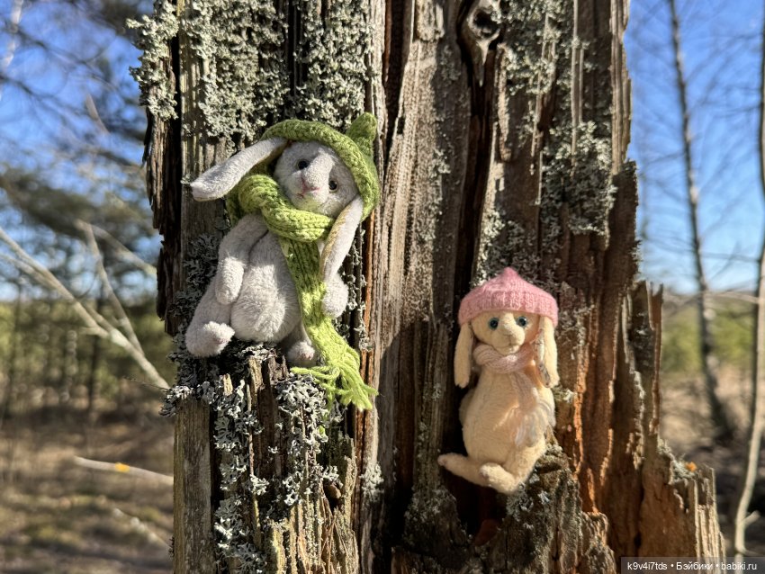 Первое путешествие Агуши, продолжение | Бэйбики Первое путешествие Агуши, продолжение