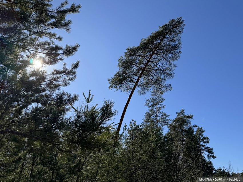 Первое путешествие Агуши, продолжение | Бэйбики Первое путешествие Агуши, продолжение (фото 5)